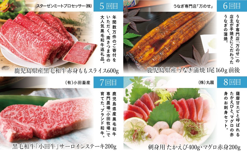 海幸山幸どきどき定期便（全10回）