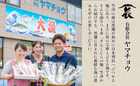 ★お申込みの翌月にお届け★【漁師厳選】朝獲れ鮮魚のお刺身詰め合わせ(4種) 冷蔵 鮮魚 生食用