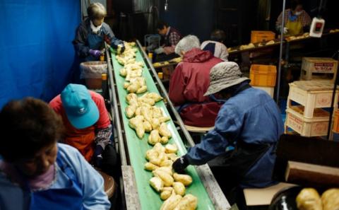 【2022 酒類鑑評会優等賞】宇都酒造 本格芋焼酎 1.8L×3本（霊峰金峰／荒濾過金峰／天文館）