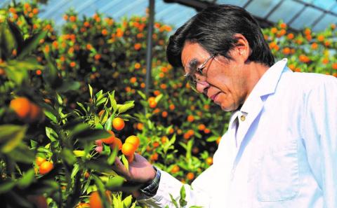 柑橘ジャム＆シロップ４本セット（たんかん・キングオレンジ）