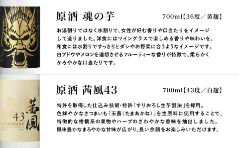 【本坊酒造】貴匠蔵 ISC最優秀金賞受賞の本格芋焼酎原酒 2本セット