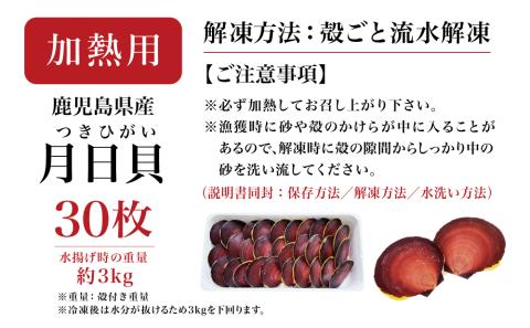 【漁師厳選】希少 鹿児島特産 月日貝 30枚