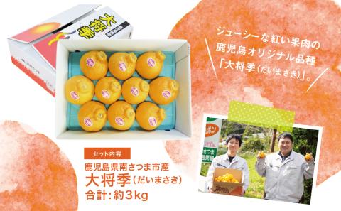 【1月～3月発送】 鹿児島県産 不知火「大将季」（だいまさき）約3kg 果物 フルーツ 柑橘 みかん しらぬい ブランド 常温 JA 南さつま市
