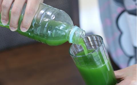 鹿児島TELLASファームのモリンガパウダー 1ヶ月セット