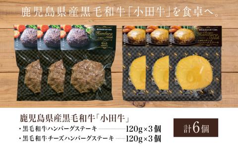 【プレミアムブランド】鹿児島県産黒毛和牛「小田牛」 牛肉100％ 2種類のハンバーグステーキ 計6個（120g×各3個）