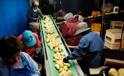 【蔵元直送】宇都酒造 本格芋焼酎 1.8L×2本（霊峰金峰／荒濾過金峰）