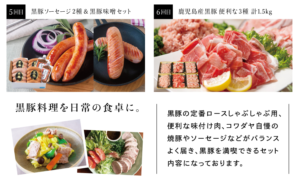 【定期便 全6回】黒豚のプロフェッショナル「コワダヤ」の厳選黒豚味わい尽くしコース しゃぶしゃぶ 生姜焼き 焼き豚 焼豚 ウインナー ソーセージ ロース 切落し 切り落とし 鹿児島県産 冷凍