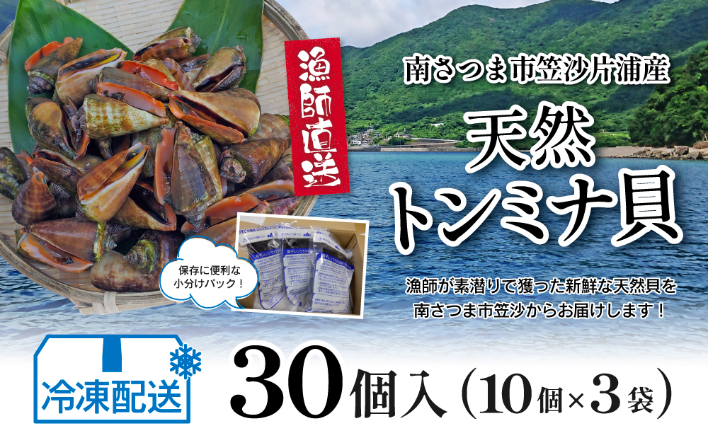 【素潜り漁師直送】【袋に入った冷凍のままでレンジ対応】【南さつま市　笠沙産　天然トンミナ貝】