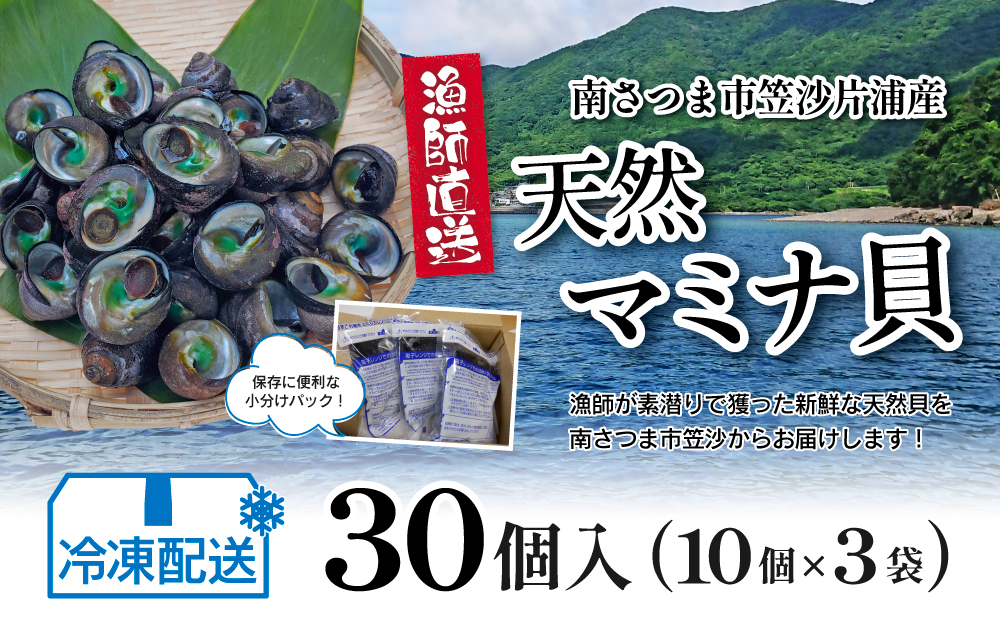 【素潜り漁師直送】【袋に入った冷凍のままでレンジ対応】【南さつま市 笠沙産 天然マミナ貝】