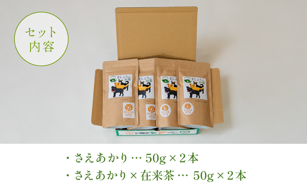 【鹿児島県産緑茶】ましょうのお茶「さえあかり」「さえあかり×在来茶」4本セット 計200g 鹿児島県産 かごしま お茶 日本茶 緑茶 茶葉 南さつま市