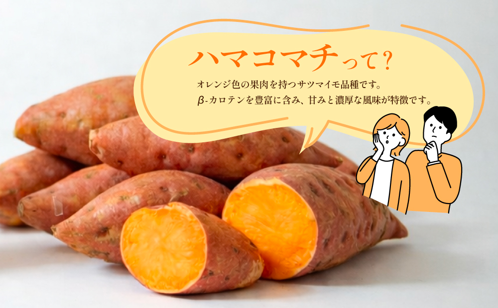 【本格芋焼酎】吹上焼酎 はまこ長期貯蔵（1.8L×1本）一升瓶 本格焼酎 いも焼酎 芋焼酎 はまこ はまこまち お湯割り ロック 水割り ソーダ割り こだわり 匠の技 おすすめ 人気 25度 家飲み 宅飲み 飲み比べ 吹上焼酎 南さつま市