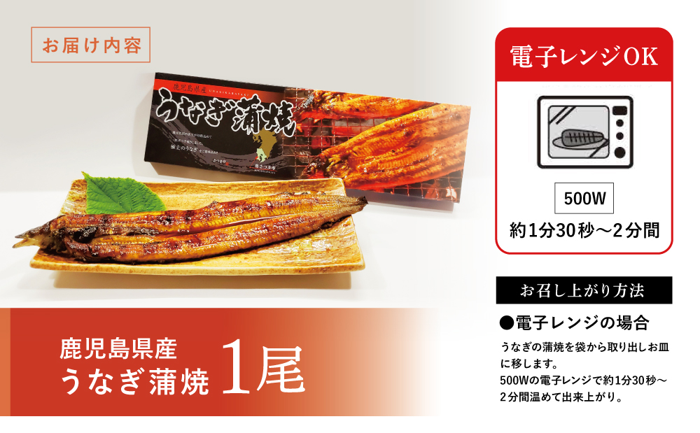 【鹿児島県産】活うなぎの蒲焼1尾 鰻 ウナギ 丑の日 グルメ うな重 うな丼 蒲焼 かば焼き お取り寄せ