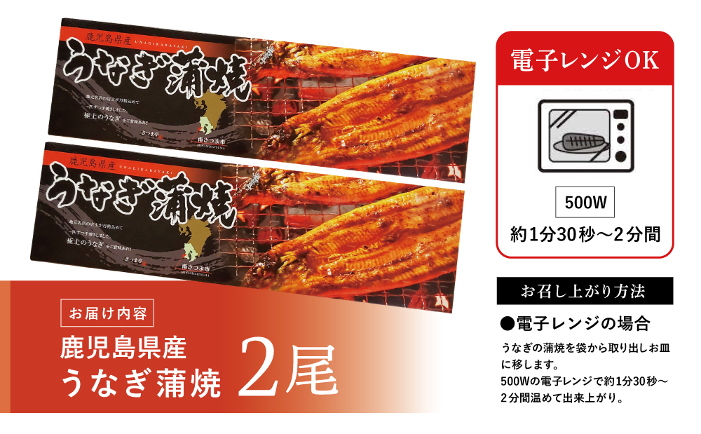 【鹿児島県産】活うなぎの蒲焼2尾 鰻 ウナギ うな重 うな丼 蒲焼 かば焼き 南さつま市