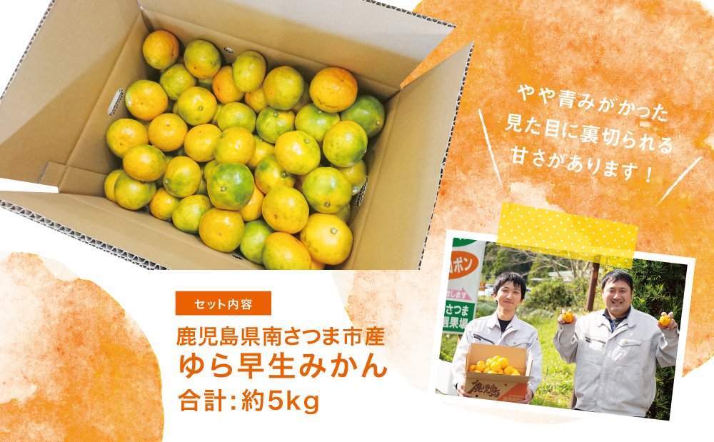 【2025年 先行予約 】 鹿児島県産 ゆら早生みかん 約5kg ≪ 期間限定 ≫ 柑橘 くだもの フルーツ 果実 みかん ミカン 蜜柑 温州みかん 極早生 わせみかん 甘味 ジューシー 鹿児島県南さつま市産 国産 国内産 JA南さつま