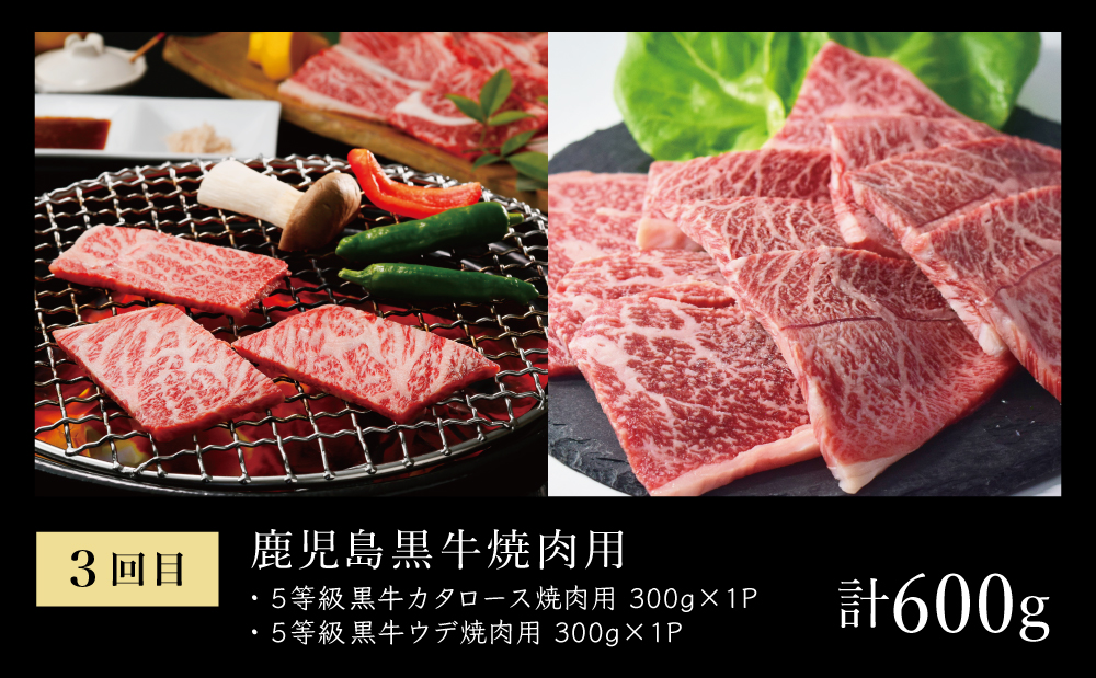 【JA食肉かごしま】鹿児島黒牛お試し定期便（全3回） 和牛日本一の「鹿児島黒牛」 お肉 ステーキ すき焼き しゃぶしゃぶ 黒毛和牛 牛肉 定期便 南さつま市