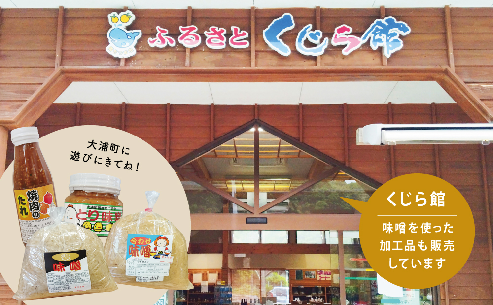 【鹿児島県産大豆使用】麦味噌・合わせ味噌詰合せ 800g×6P