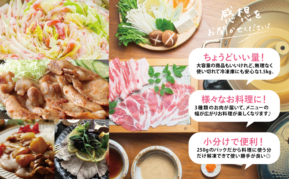 【鹿児島県産】豚3種類 計1.5kgセット ★最短発送★ 豚肉 ロース バラ スライス 肩ロース しゃぶしゃぶ 生姜焼き お肉 国産 小分け 冷凍 カミチク 南さつま市