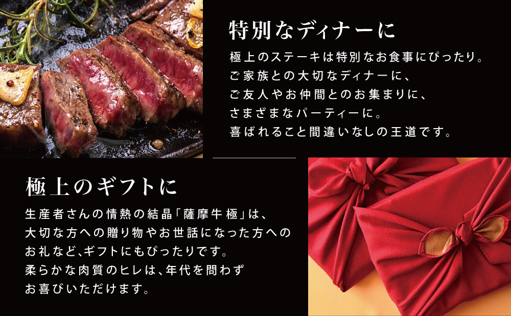 鹿児島県産黒毛和牛「薩摩牛 極」ヒレステーキ 4枚 計600g 国産牛 牛肉 A5 赤身 希少部位 プレミアム グルメ 焼肉 バーベキュー BBQ レア フィレ ブランド牛 お祝い ご褒美 贅沢 カミチク 冷凍