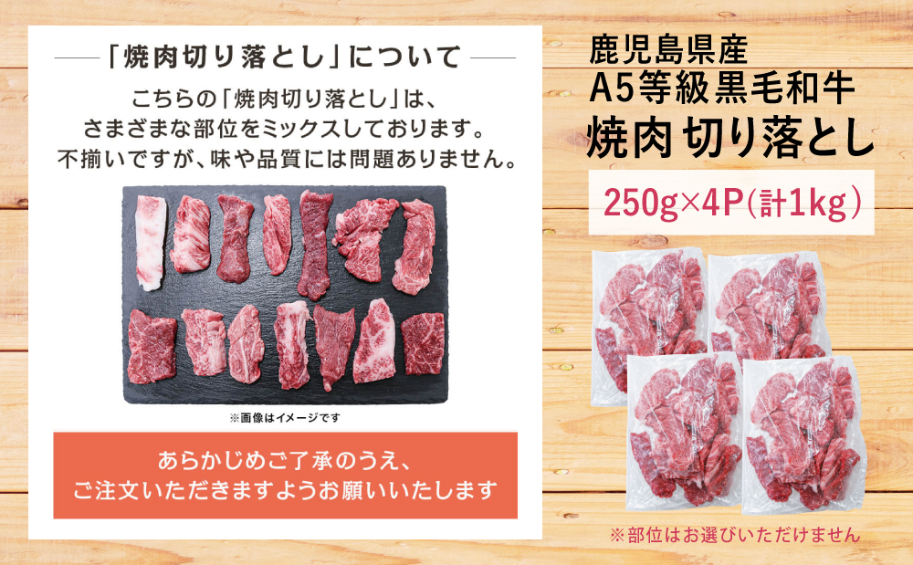 鹿児島県産 A5等級 黒毛和牛 焼肉 切り落とし 計1kg（250g×4P）国産牛 牛肉 和牛 国産 焼き肉 切落し おまかせ サイズ不揃い BBQ バーベキュー 小分けパック 冷凍 カミチク 南さつま市