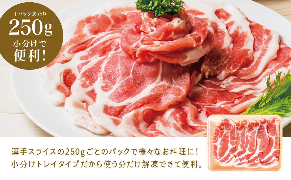 【鹿児島県産】 豚肩ロース しゃぶしゃぶ用 1.5kg（小分け250g×6パック） お肉 お鍋 小分けパック しゃぶしゃぶ肉 豚しゃぶ 冷しゃぶ 豚肉 豚 国産豚 冷凍 肩ロース 豚肩ロース ロース スライス カミチク 南さつま市