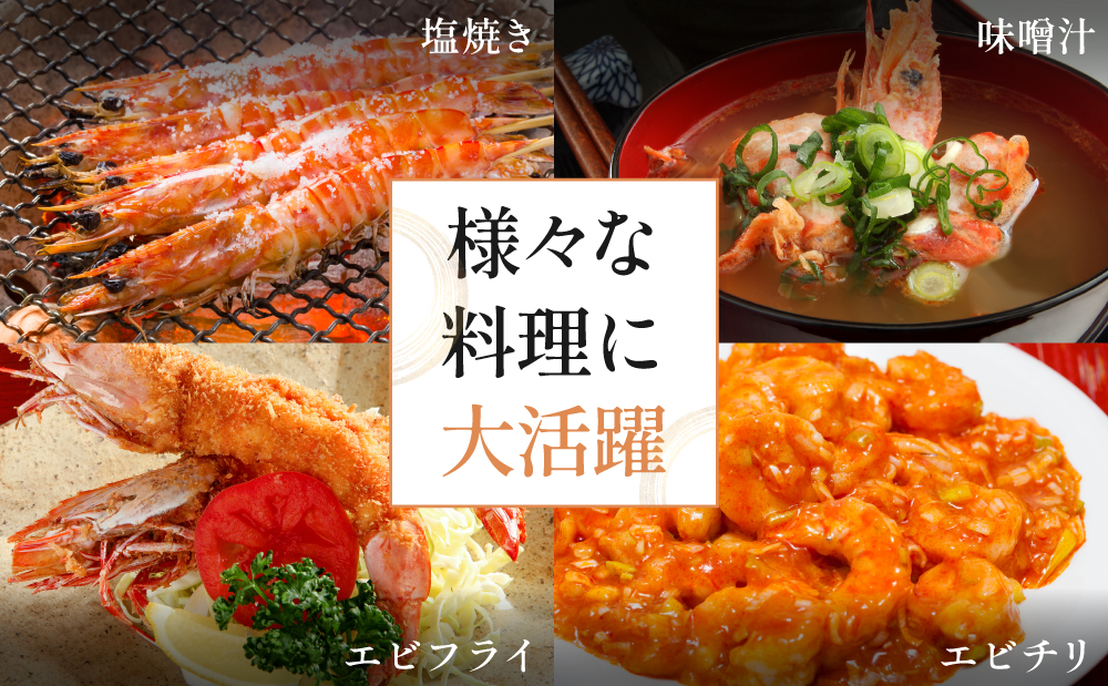 【鹿児島県産】冷凍 車海老 LLサイズ 300g （加熱用） 車エビ 車えび くるまえび 海老 エビ えび 海の幸 海鮮 九州 国産 魚介 魚介類 真空パック 天ぷら エビフライ エビチリ 冷凍 南さつま市