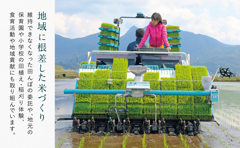 ★令和7年産★鹿児島県南さつま市産「金峰コシヒカリ」5kg 【玄米低温貯蔵・白米でお届け】超早場米 早期米 こしひかり 白米 九州産 鹿児島県産 お米 コメ おこめ 5キロ 松木のお米直販 南さつま市