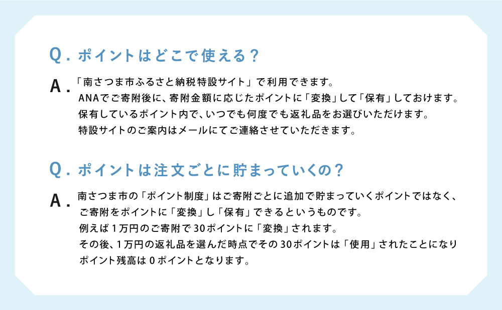 南さつま市独自ポイント　3000