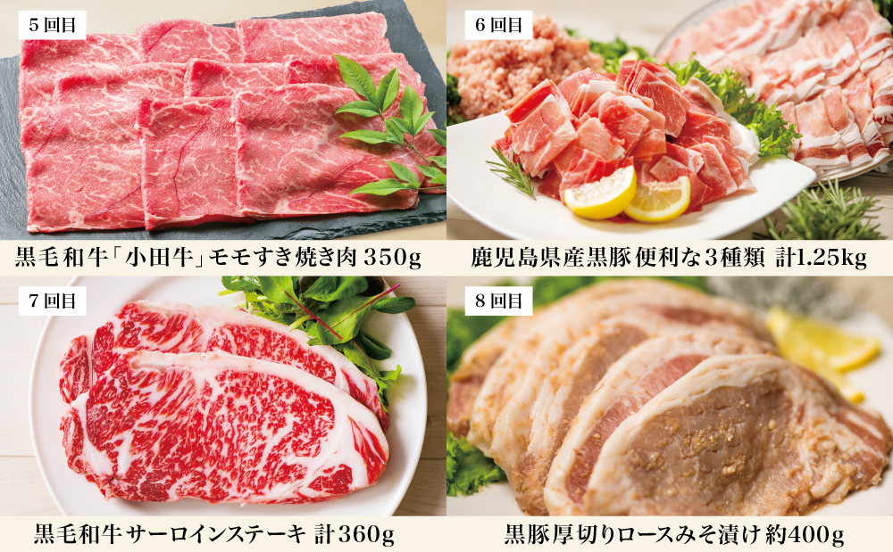 【定期便】畜産王国・南さつま市のオールスター厳選お肉定期便（10回） 牛肉 豚肉 すき焼き しゃぶしゃぶ 赤身 焼肉 味噌漬け 冷凍 定期便