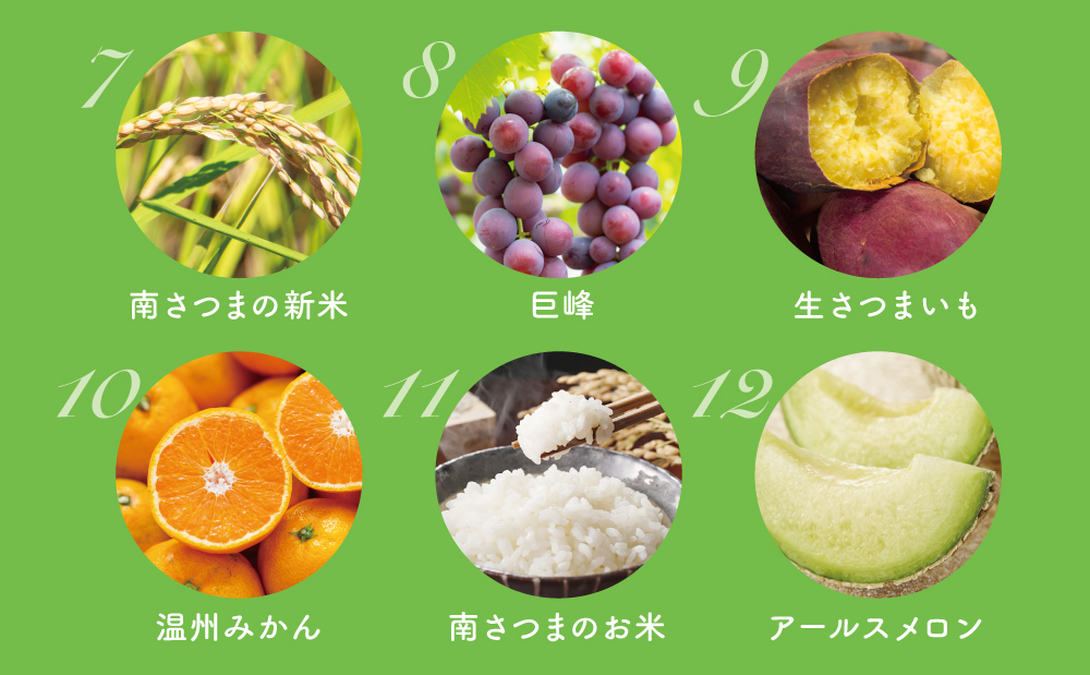 【定期便】南国の恵み 旬のフルーツ・野菜定期便（全12回）  鹿児島県産 果物 フルーツ 柑橘 野菜 お茶 米 コシヒカリ ぶどう 巨峰 マンゴー メロン 定期便