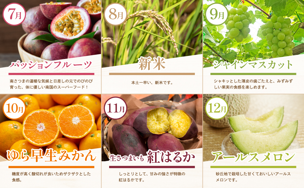 【定期便】南国の恵み 旬のフルーツ・野菜定期便（全12回） 鹿児島県産 果物 フルーツ 柑橘 みかん 野菜 お茶 米 お米 コシヒカリ ぶどう シャインマスカット マンゴー メロン 定期便