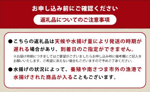 ★お申込みの翌月にお届け★【漁師厳選】朝獲れ鮮魚のお刺身詰め合わせ(4種) 冷蔵 鮮魚 生食用