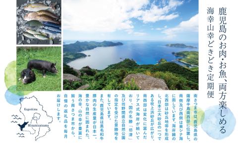 海幸山幸どきどき定期便（全10回）