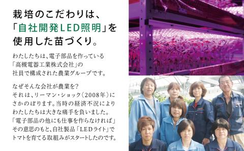 鹿児島県産 フルーツトマト 薩摩甘照ジュース 計1L（500ml×2本）