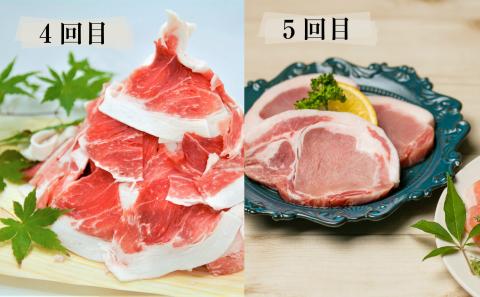 【定期便】畜産王国鹿児島の黒豚満喫コース 至高のだし付き（全5回）