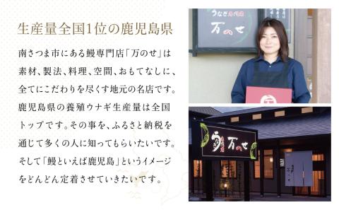 【訳あり】【鹿児島県産 鰻】うなぎ蒲焼切落し 個包装パック 計200g(40g×5P)