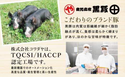 【希少部位】鹿児島県産黒豚ヒレ肉 約1kg(2～3本)