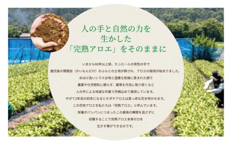 【健康習慣】アロエ健美減秘茶 「ハーブ・サラダ」60包×2袋 アロエ キダチアロエ お茶 鹿児島 アロエ本舗 南さつま市