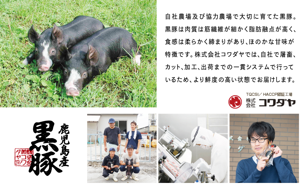 【定期便 全3回】コワダヤ厳選！鹿児島県産黒豚ローススライス定期便 計900g×3回(合計2.7kg)   小分け 定期配送 冷凍 豚肉 コワダヤ 南さつま
