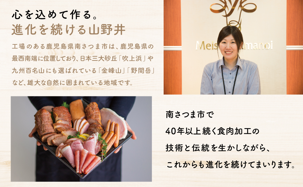 【定期便 全4回】お肉のおかず定期便［みなみさつまのミートデリ］