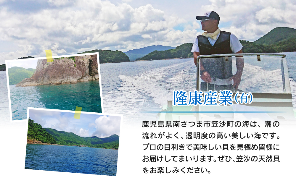 【素潜り漁師直送】【袋に入った冷凍のままでレンジ対応】【南さつま市　笠沙産　天然トンミナ貝】