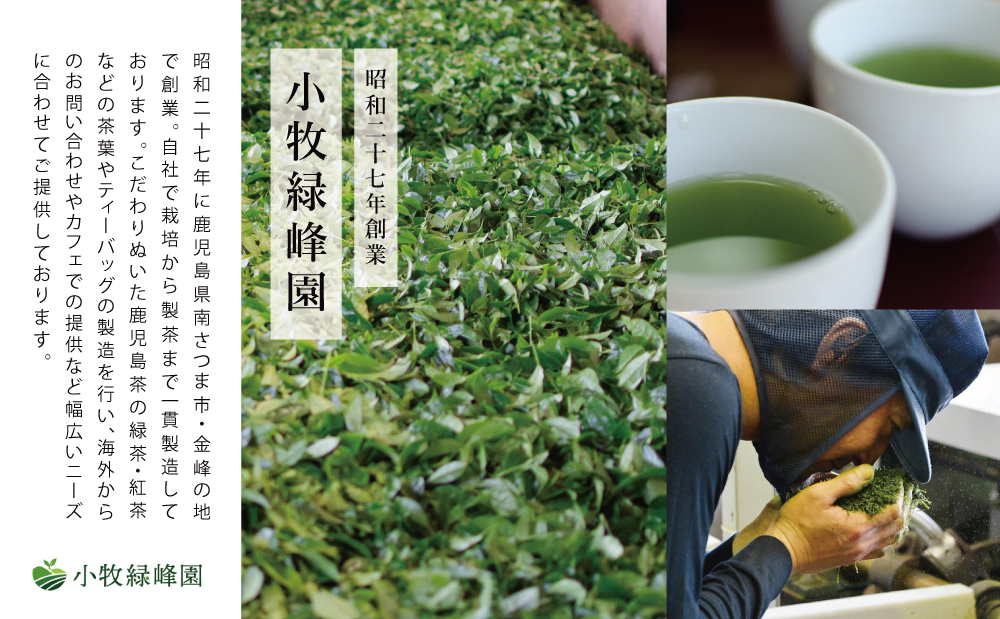 【日本茶AWARD受賞】鹿児島緑茶と紅茶のセット（計250g）