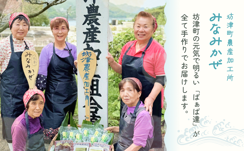 【ばぁばの手作り】よもぎたくさん よもぎもち　3個入り×5袋 お餅 焼餅 ヨモギ餅 ヨモギ 蓬生 おやつ 和菓子 お菓子 みなみかぜ 南さつま市 鹿児島