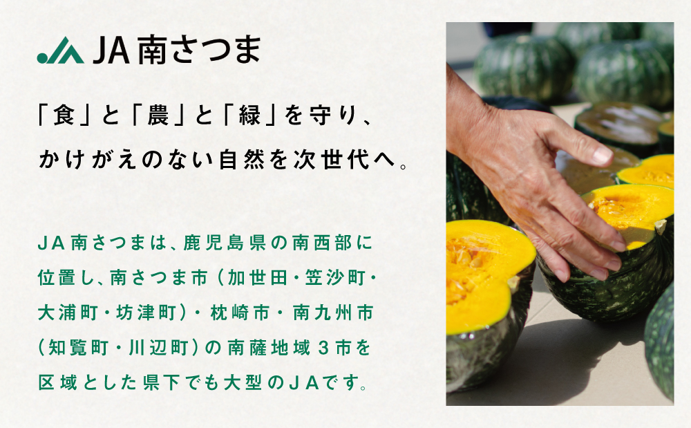 ◆12月出荷◆【かごしまブランド】加世田のかぼちゃ 4個 ［冬出荷］ 野菜 カボチャ 常温 鹿児島県産 JA 南さつま市