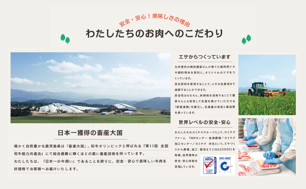 【鹿児島県産】a5等級黒毛和牛 焼肉 切り落とし計1kg（250g×4p） 国産牛 牛肉 国産 焼き肉 カミチク 切落し おまかせ Bbq 