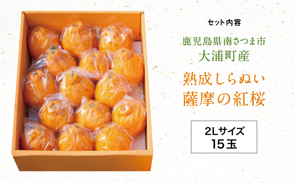 【至高の熟成柑橘】「薩摩の紅桜（不知火）」2Lサイズ15玉 果物 フルーツ 熟成 柑橘 長期貯蔵 しらぬい 不知火 鹿児島 南さつま市