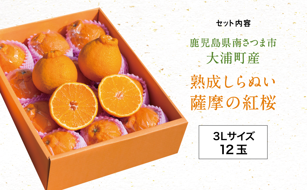 【至高の熟成柑橘】「薩摩の紅桜（不知火）」3Lサイズ12玉 果物 フルーツ 熟成 柑橘 長期貯蔵 しらぬい 不知火 鹿児島 南さつま市