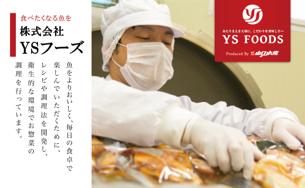 【袋のままレンジでOK】魚屋の腕自慢 煮魚24袋セット（7種）さば の味噌煮 ぶり 大根 いわし の醤油煮 いわしの黒酢煮 おかず お惣菜 常備食 常温 保存 YSフーズ 南さつま市