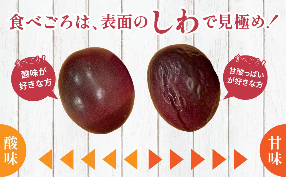 【鹿児島県産】パッションフルーツ 約1kg（10～12個程度） フルーツ 果物 旬 南国 鹿児島 南さつま市 清直kajuen
