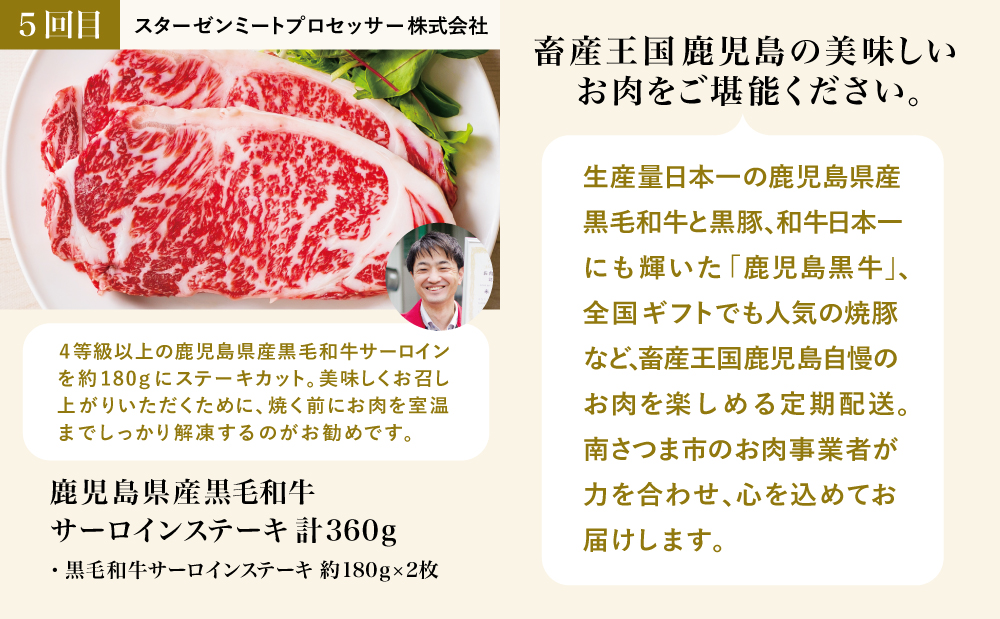 【お試し版】オールスター厳選お肉定期便（全5回） 牛肉 豚肉 すき焼き しゃぶしゃぶ 赤身 焼肉 冷凍 定期便 鹿児島 南さつま市