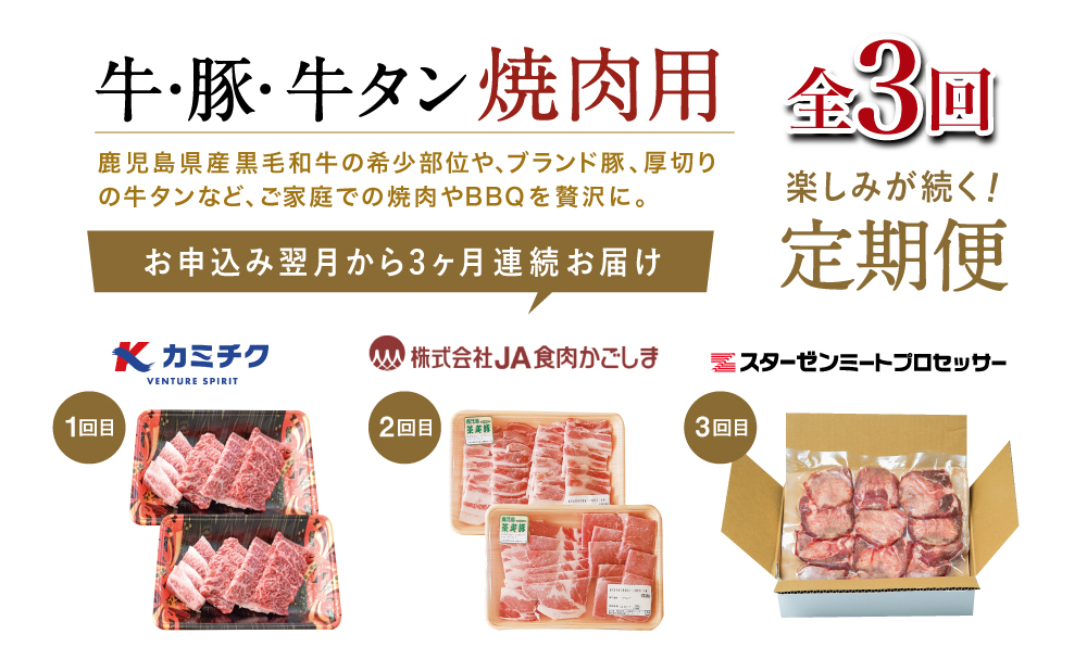 【厳選焼肉定期便】黒毛和牛・ブランド豚・牛タン 全3回コース 牛肉 焼肉 焼き肉 BBQ バーベキュー 豚肉 バラ ロース 牛タン お肉 小分け 冷凍 定期配送 カミチク スターゼン JA食肉かごしま 鹿児島県南さつま市